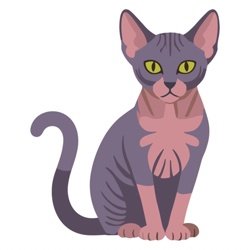 Cat Lovers Theme Purple Sphynx Cat Transparent Sticker